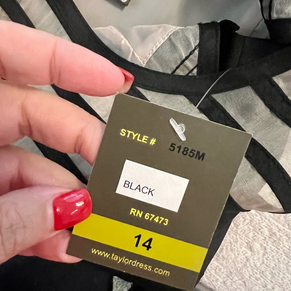 NWT, Taylor, Black and tan (sheer) dress, Size 14, Gold zipper in back - Picture 3 of 4